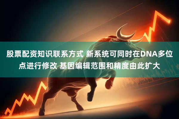 股票配资知识联系方式 新系统可同时在DNA多位点进行修改 基因编辑范围和精度由此扩大