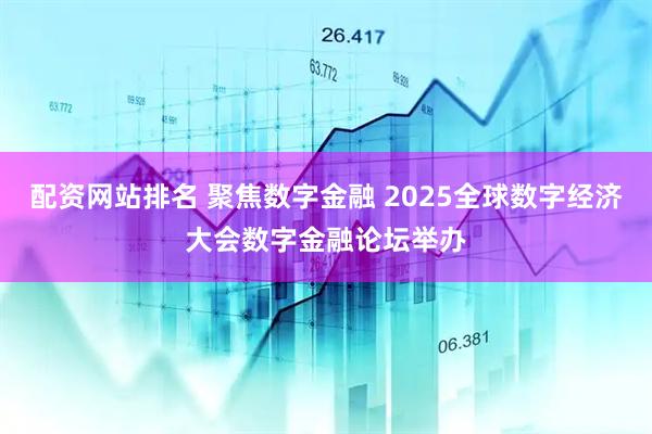 配资网站排名 聚焦数字金融 2025全球数字经济大会数字金融论坛举办